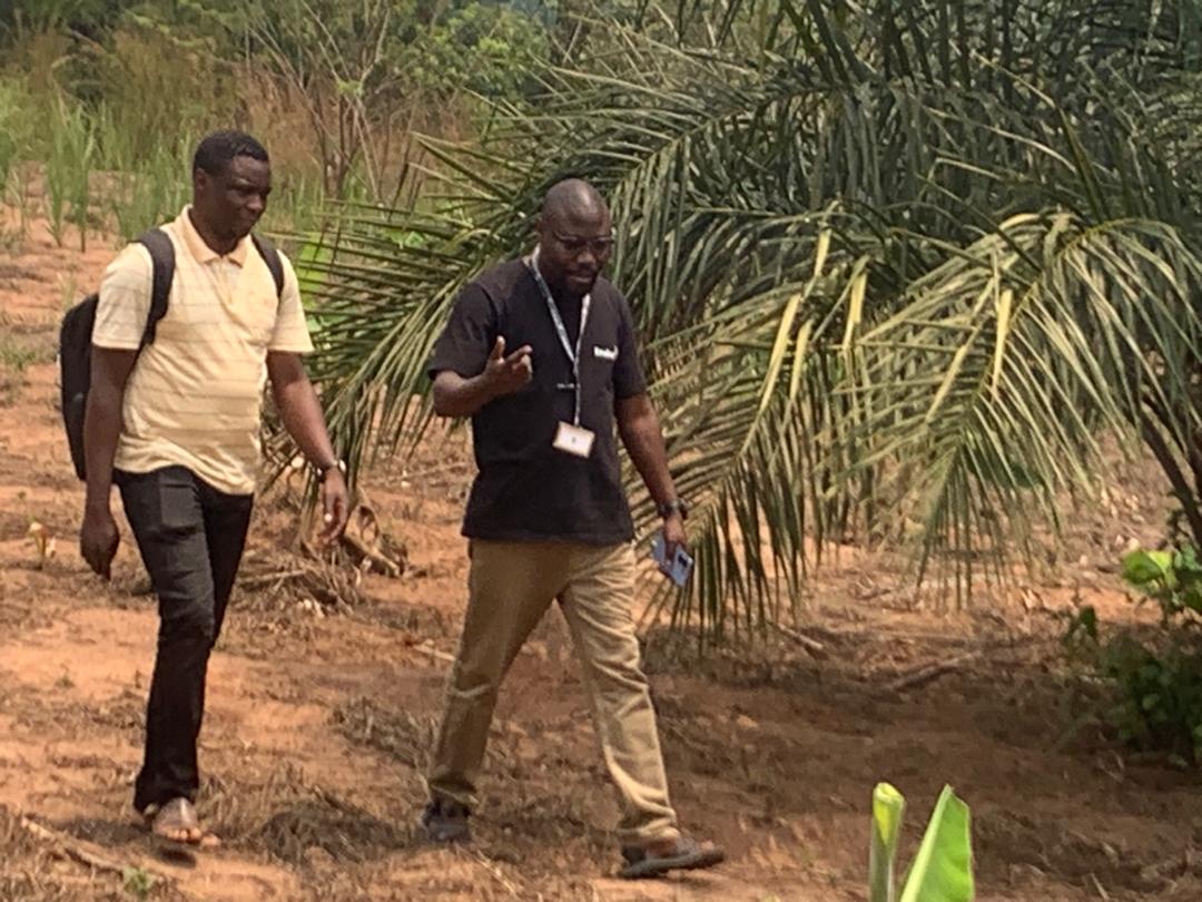 EXPERT ENABEL VISITE LA PLANTATION DES BANANES PLANTIN AU SITE DE GAFA SARL