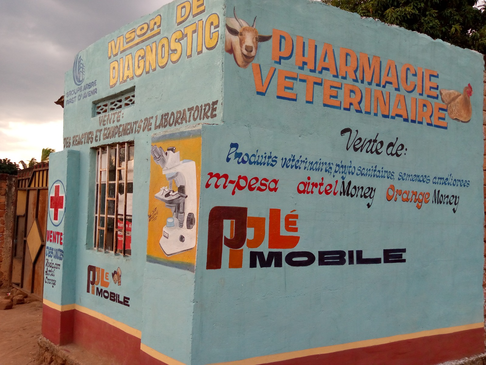 transfert et vétérinaire